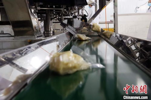 探訪廣東清遠(yuǎn) 嶺南山珍麻竹筍，借力互聯(lián)網(wǎng)成富民興鎮(zhèn)大產(chǎn)業(yè)