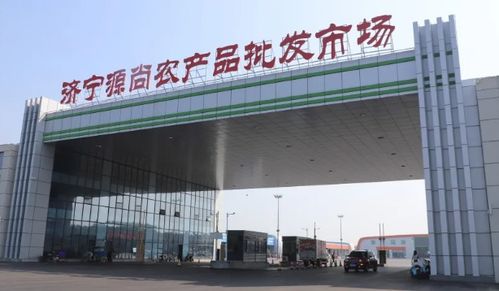 濟寧源尚農產品批發市場 打造農業產業集群特色品牌，助力鄉村振興的食用農產品樞紐