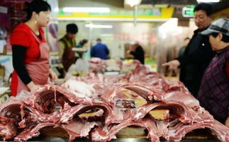 山東強(qiáng)化源頭管控，全面檢查豬肉制品生產(chǎn)與農(nóng)產(chǎn)品初加工環(huán)節(jié)